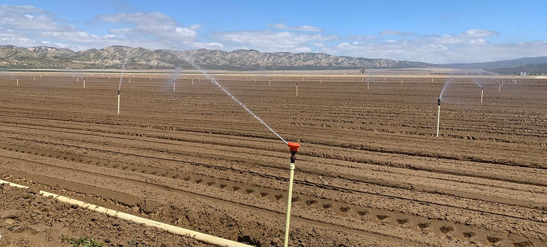 Sprinklers irrigate crops for Grimmway Farms in the Cuyama Valley. (Photo by Evan George)