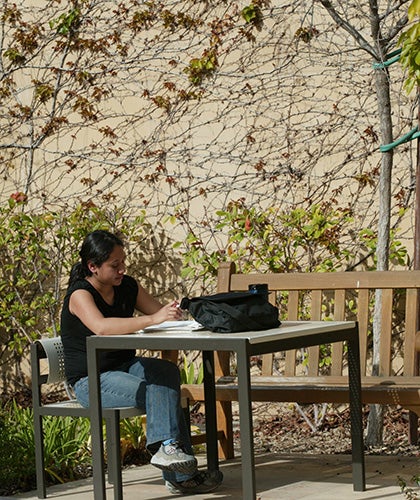 A student sitting at a table in UCLA Law's Glickman Courtyard