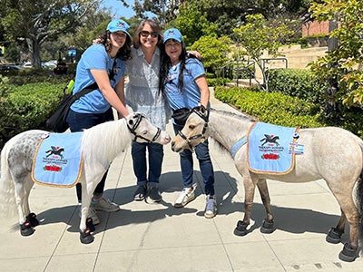 Mini horses and their handlers