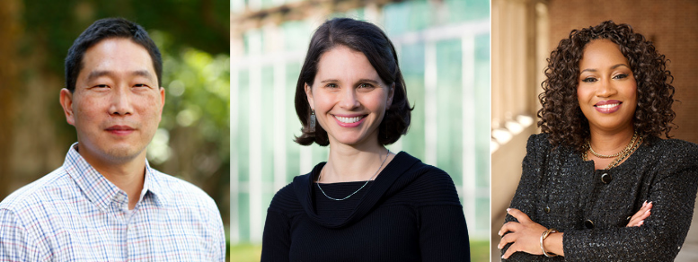 Michael Kang, Lisa Manheim, and Franita Tolson