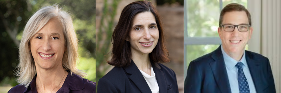 Lori Ringhand, Miriam Seifter, and Stephen Vladeck