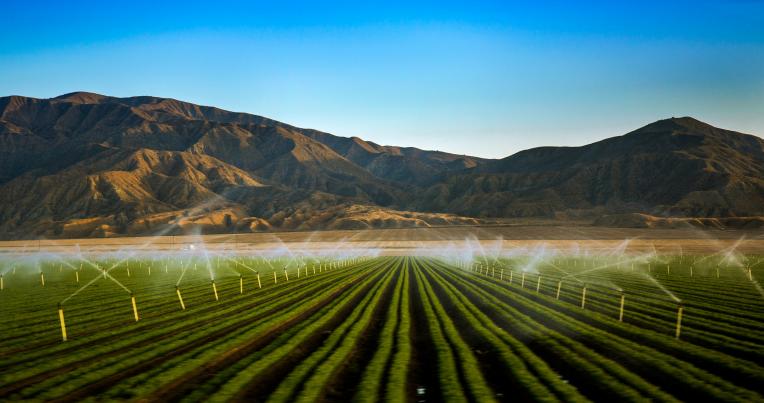 Sprinklers spray water on a farm 