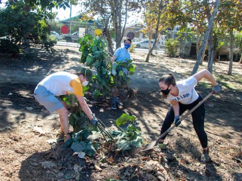 UCLA Law members participate in the Public Service Challenge