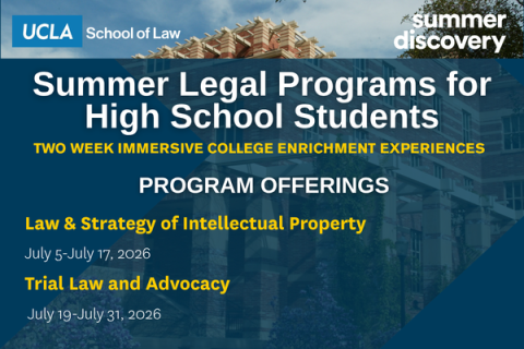 Summer Discovery - Law and Strategy of Intellectual Property